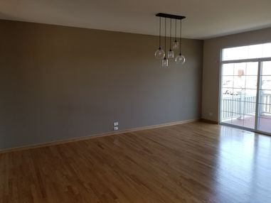 Accent Wall / Interior Painting in Naperville, IL (1)