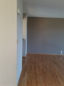 Accent Wall / Interior Painting in Naperville, IL (2)