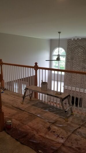 Interior Painting in Naperville, IL (1)