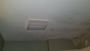 Master Bathroom Ceiling Painting (black mold & drywall damage and blocked out with Zinzzer smart prime paint, eliminates mold for good) (1)