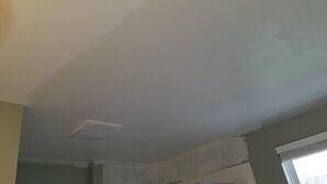 Master Bathroom Ceiling Painting (black mold & drywall damage and blocked out with Zinzzer smart prime paint, eliminates mold for good) (2)